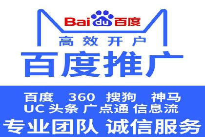 竞价推广策略：某电商平台的成功案例